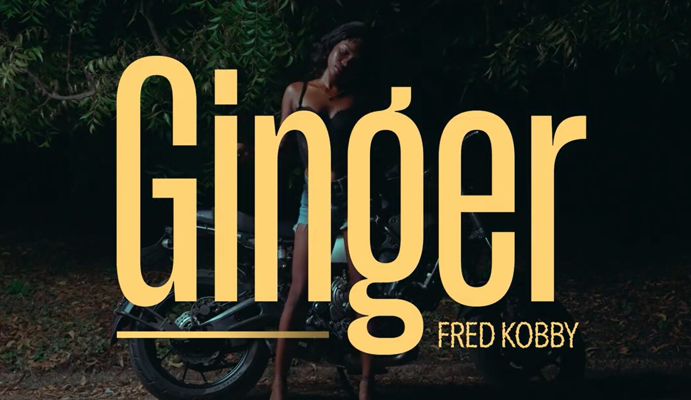 Ginger cover